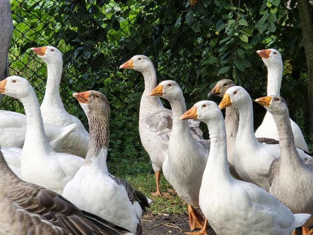 Photograph by Ekaterina Kazarez