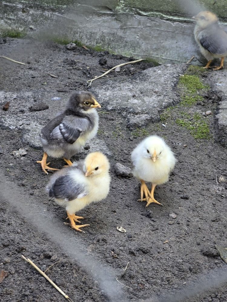 Photograph by Ekaterina Kazarez