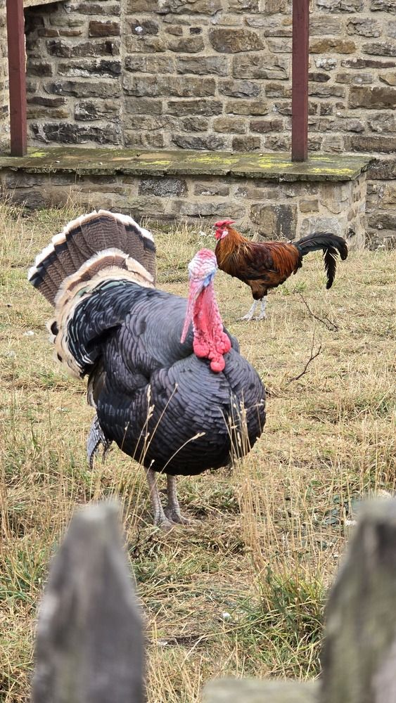 Photograph by Ekaterina Kazarez