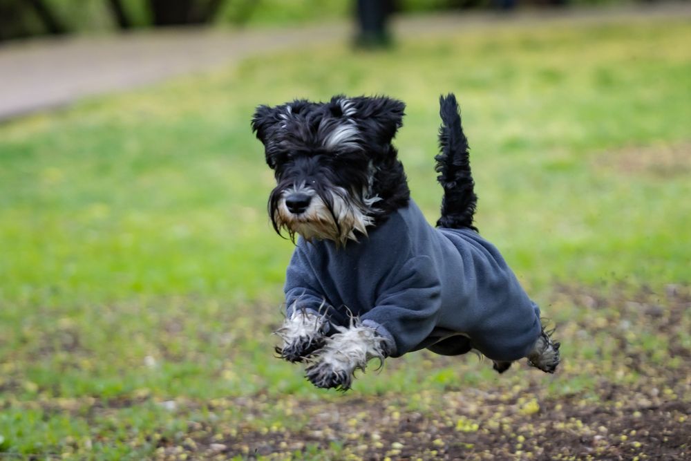 Photograph by Владимир Охрименко