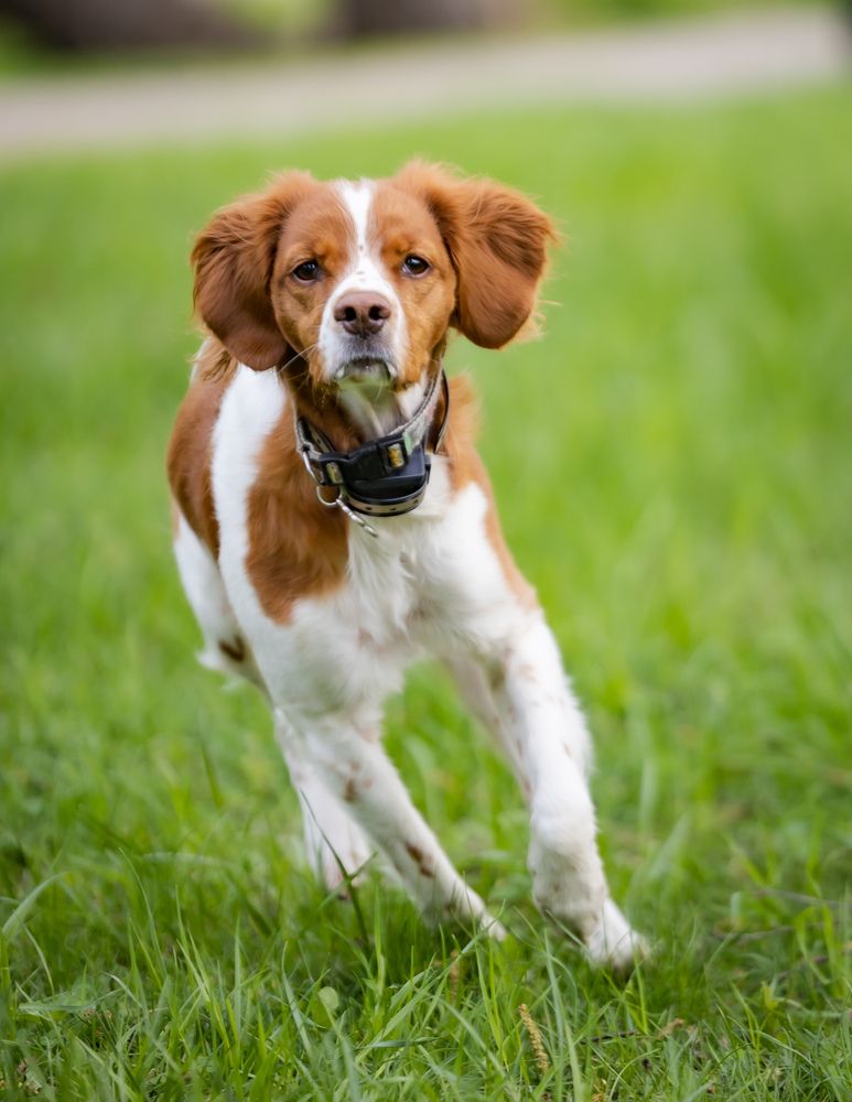 Photograph by Владимир Охрименко