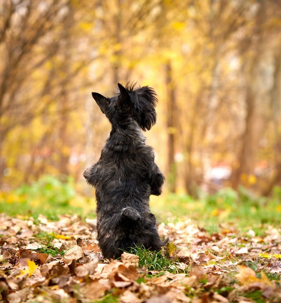 Photograph by Андрей Некрашевич