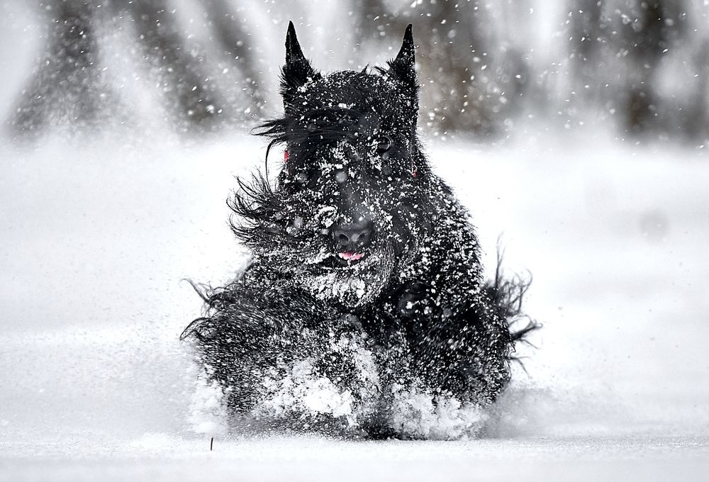 Photograph by Андрей Некрашевич