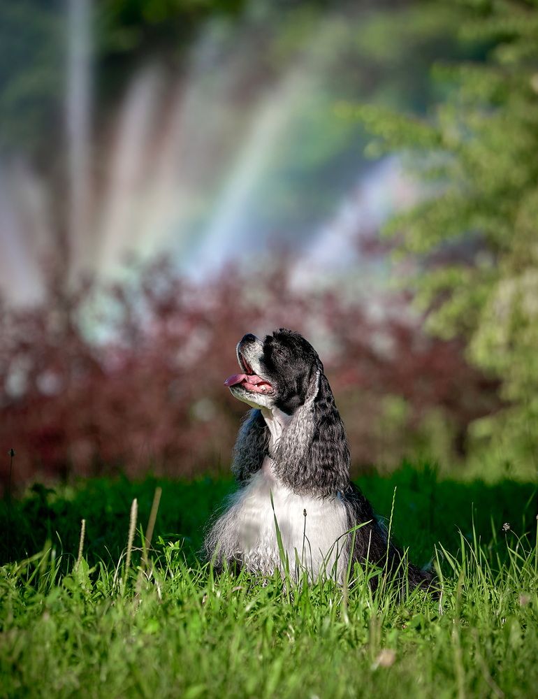 Photograph by Андрей Некрашевич