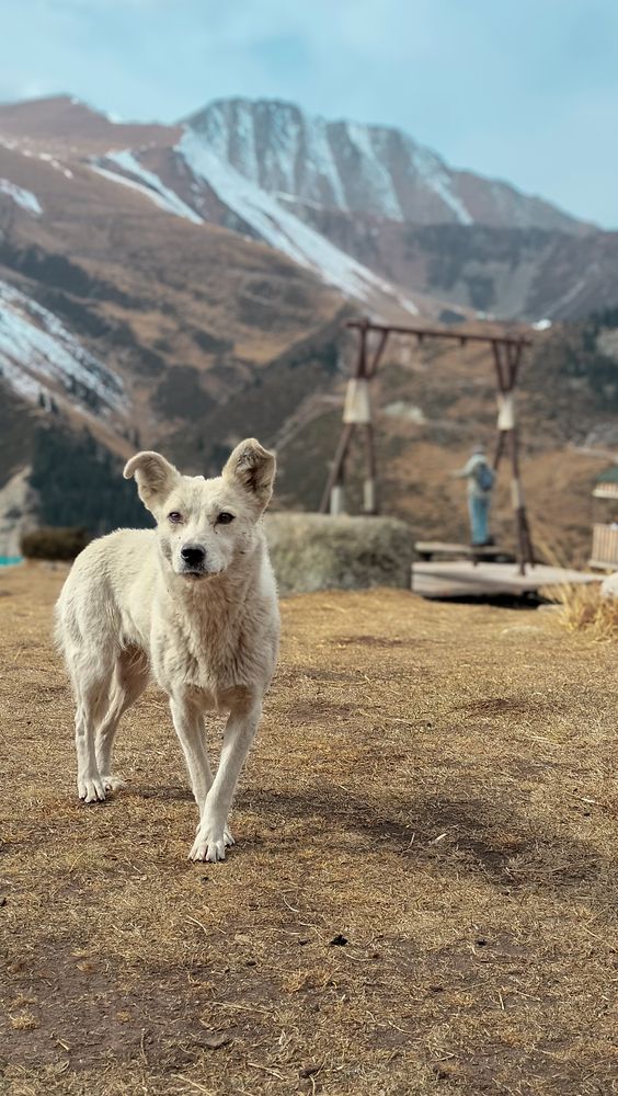 Фотография автора Марина Борисова