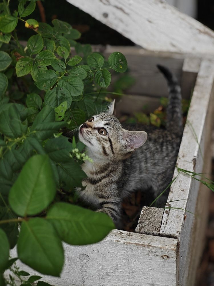 Photograph by Наталья Иванова