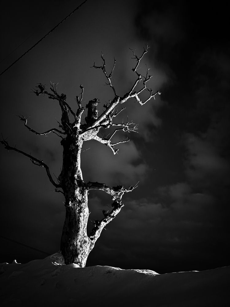 Фотография автора Nobu-Oh