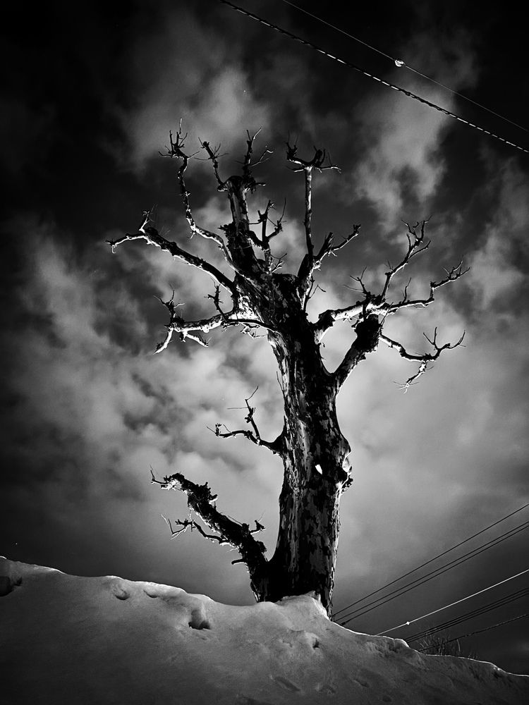 Фотография автора Nobu-Oh