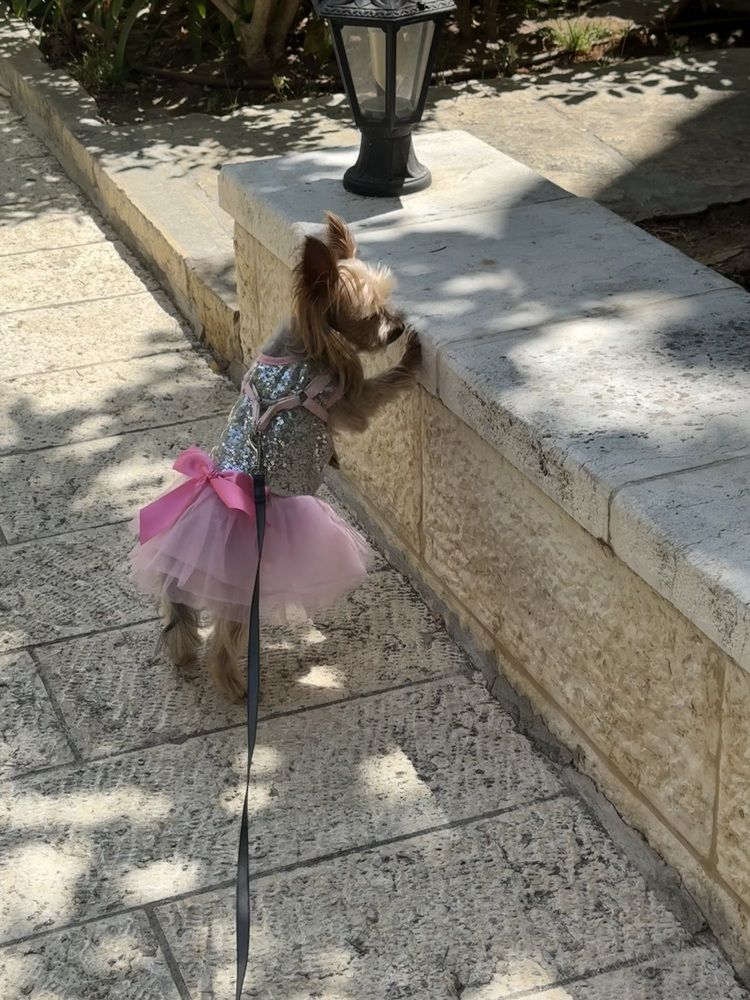 Фотография автора Olga Berlyand