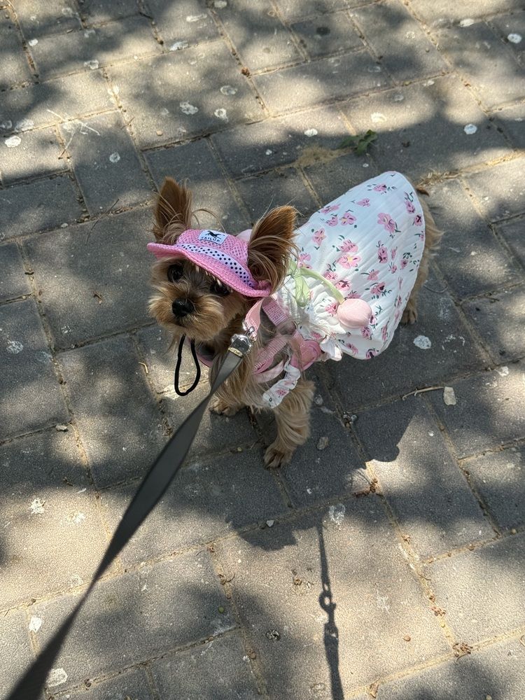 Фотография автора Olga Berlyand