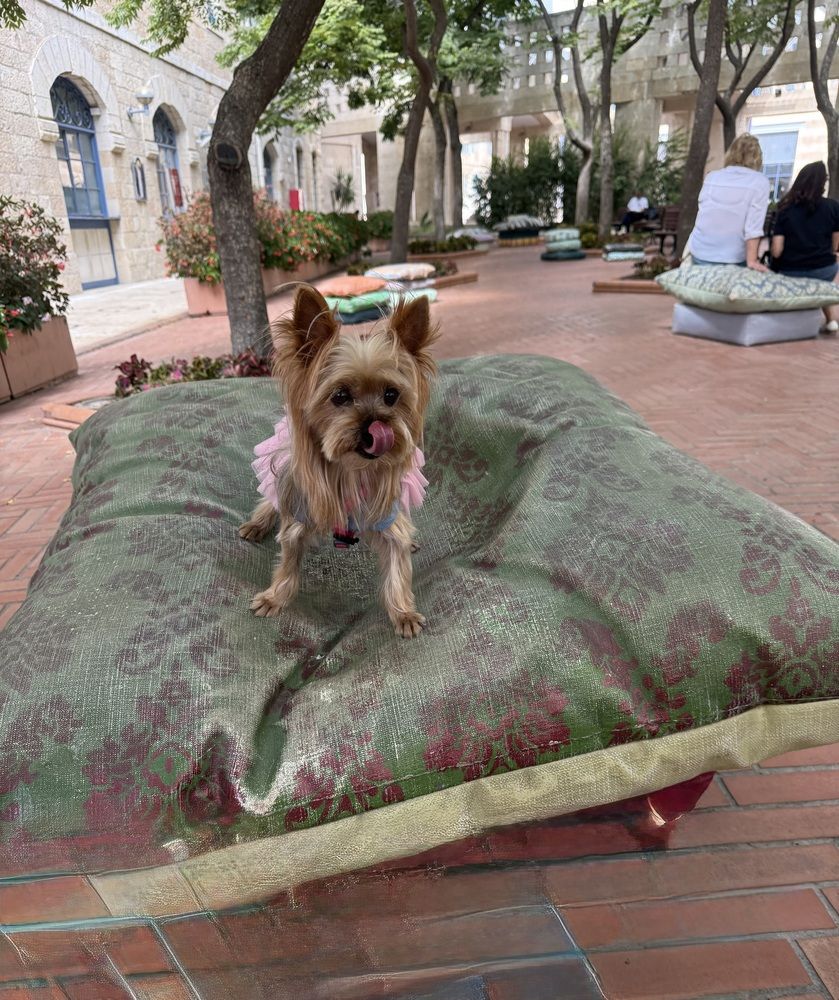 Фотография автора Olga Berlyand