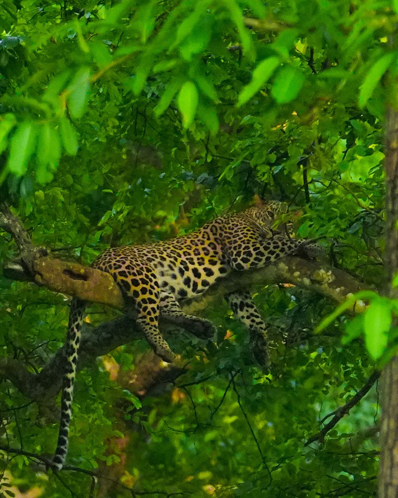 Photograph by SARAVANA MANICKAM