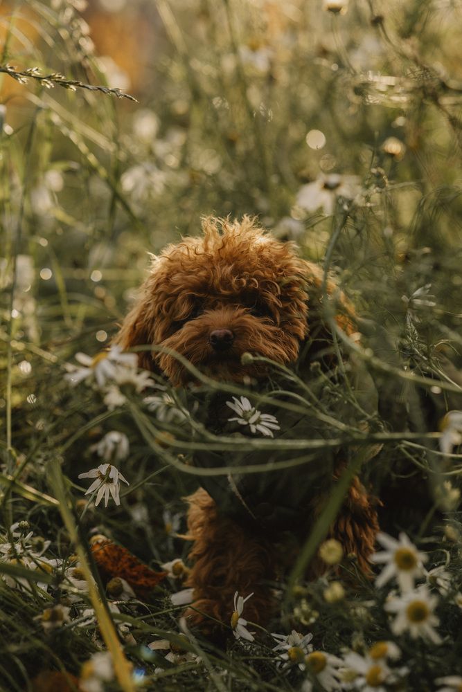 Photograph by Юлия Павлова