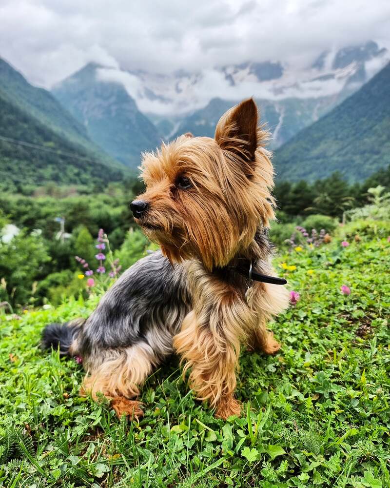 Photograph by Сергей Кесаев