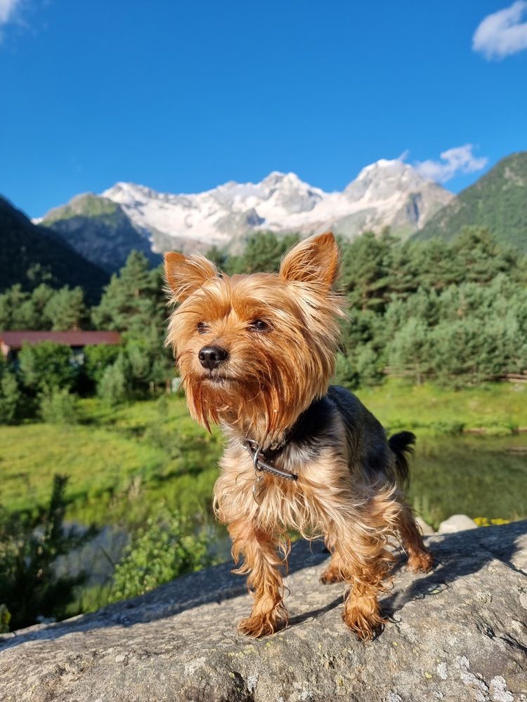 Photograph by Сергей Кесаев