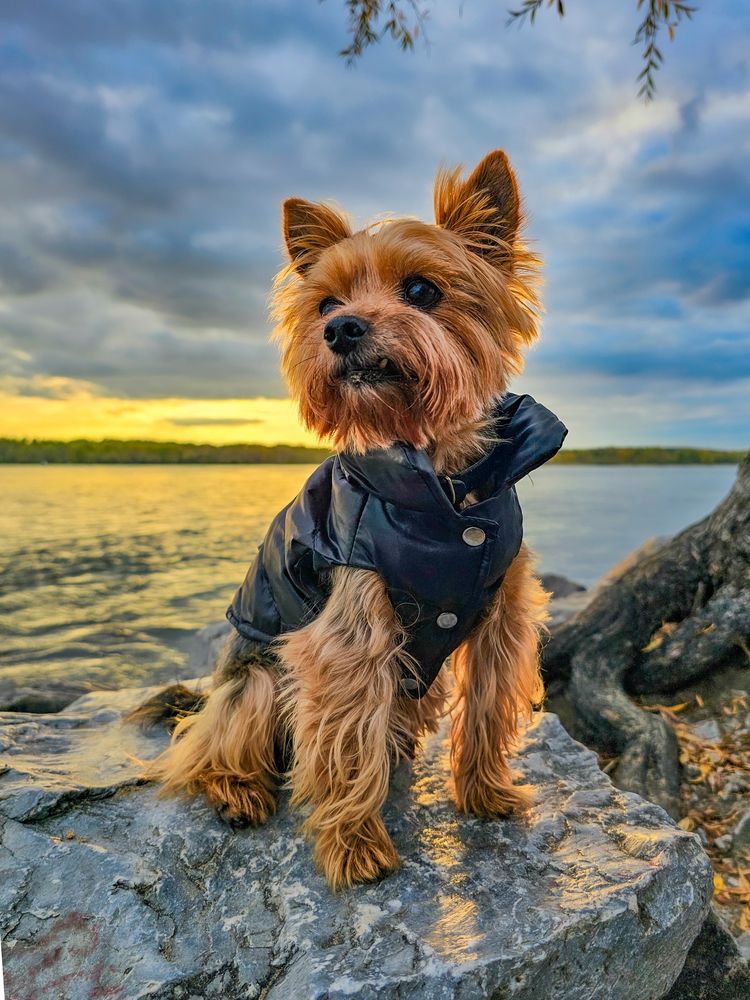 Photograph by Сергей Кесаев