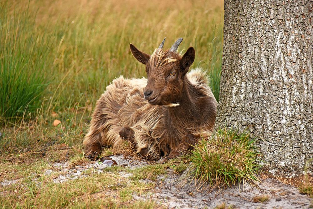 Photograph by Marjo Steffen