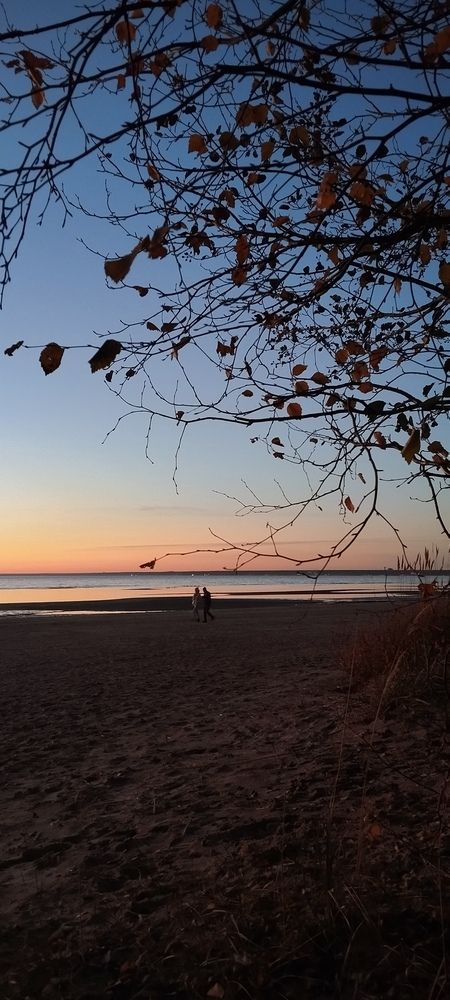 Photograph by Любовь Макарова