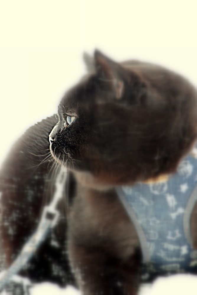 Photograph by Сергей Дудаков