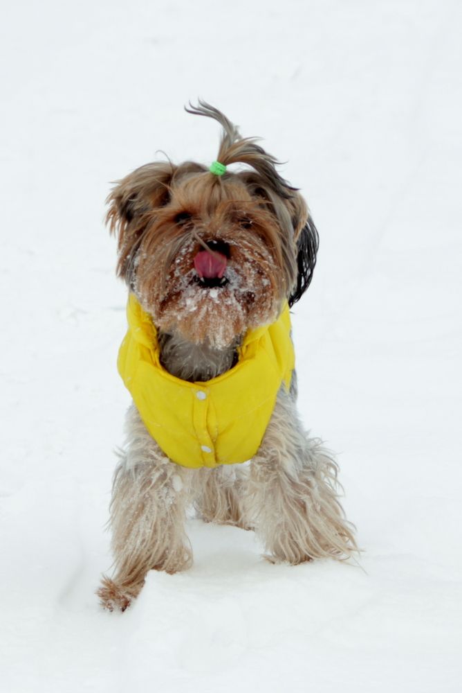 Photograph by Сергей Дудаков