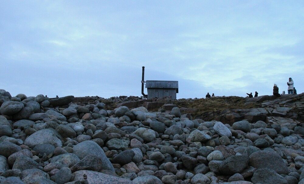 Фотография автора Светлана Терехова