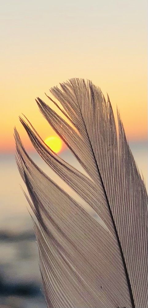 Photograph by Елена Шведова