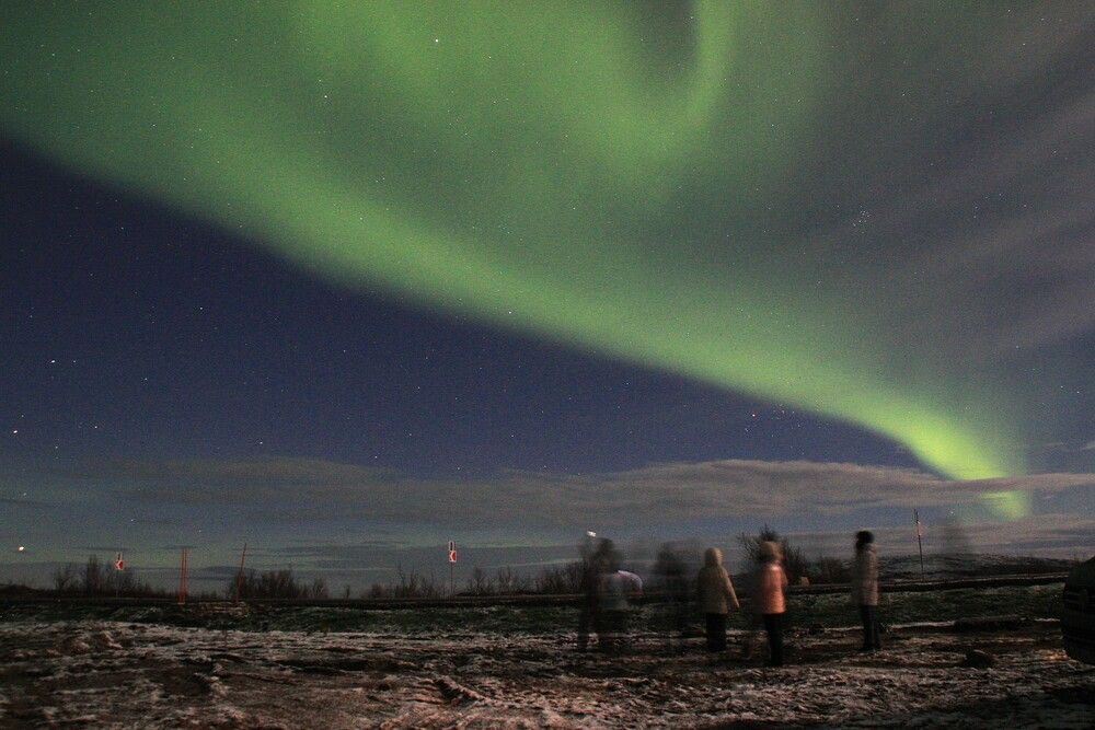 Фотография автора Светлана Терехова