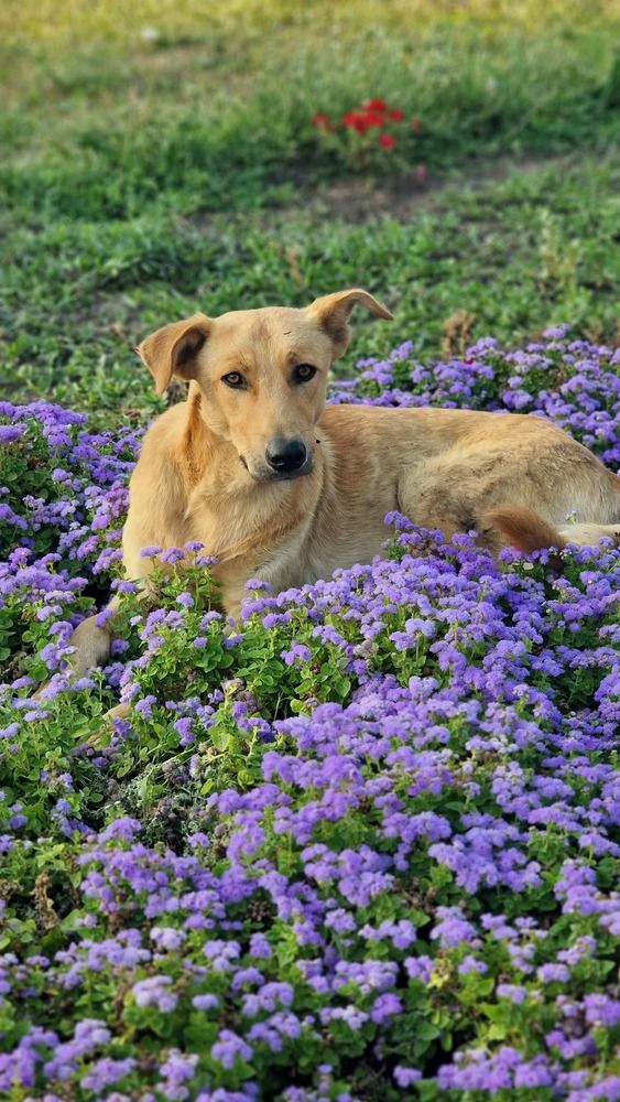 Photograph by Татьяна Сиволобова