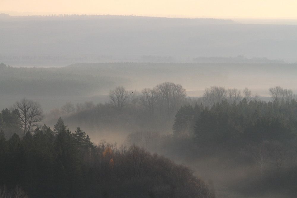 Фотография автора Татьяна Шебаршенко