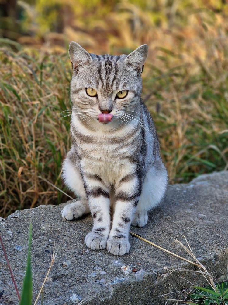 Photograph by Татьяна Сиволобова