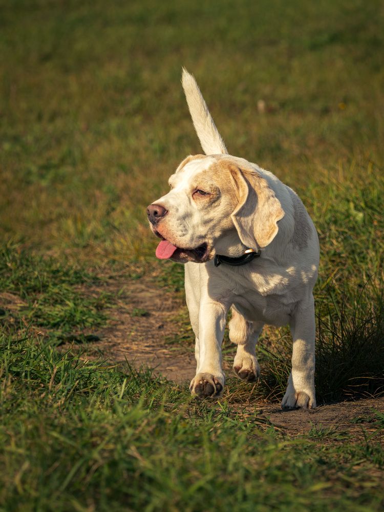 Фотография автора Вадим Серебреников