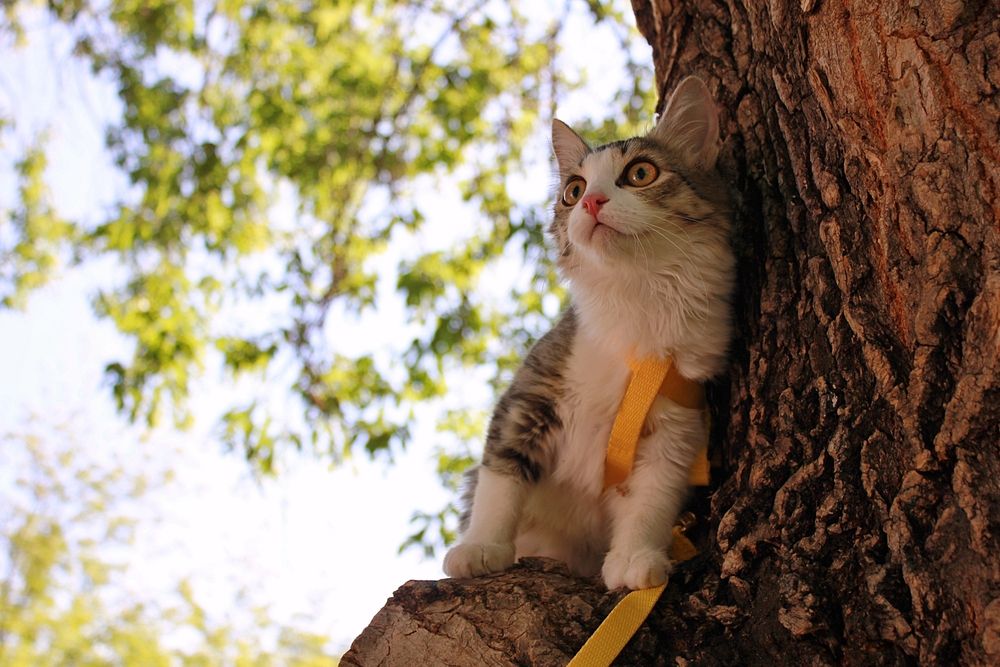 Photograph by Андрей Хомутов