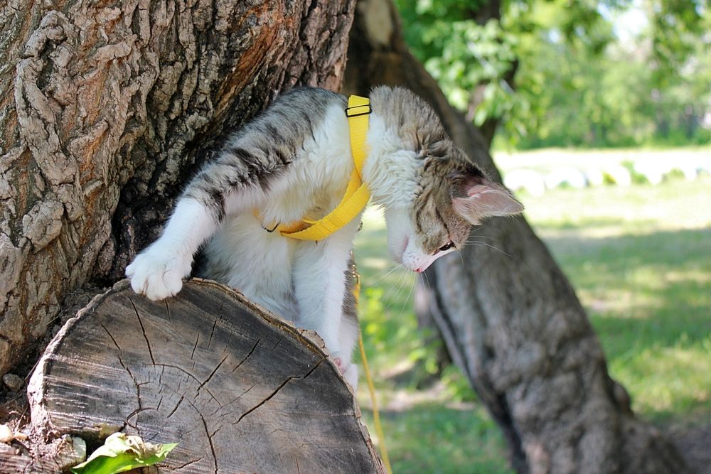 Photograph by Андрей Хомутов