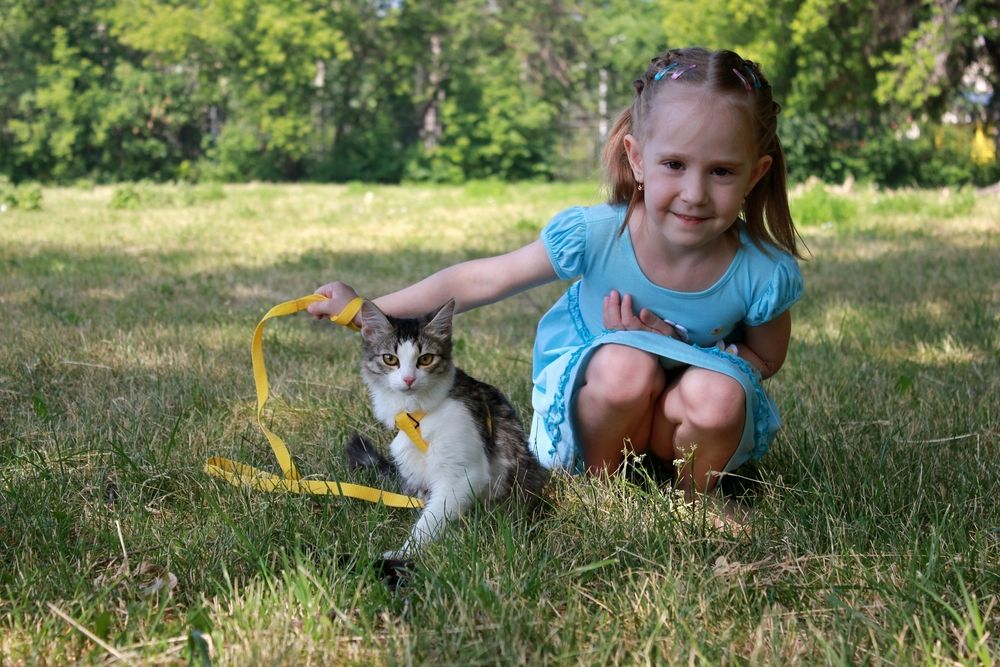 Photograph by Андрей Хомутов