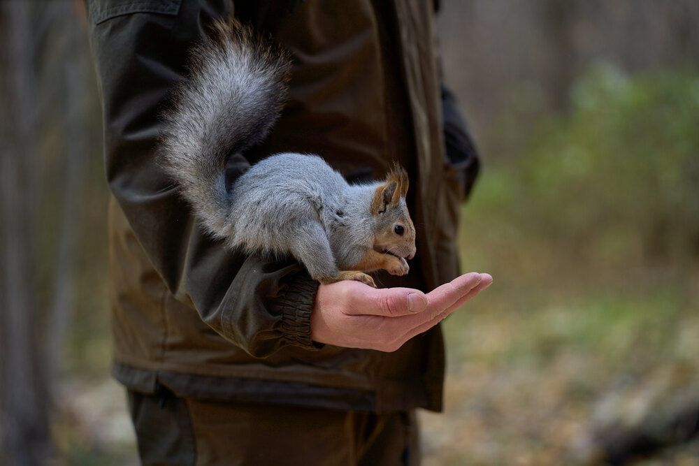Photograph by Дмитрий Соколов