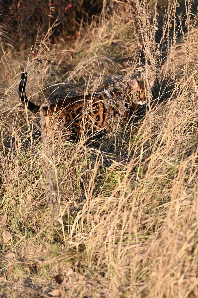 Фотография автора Viktoria