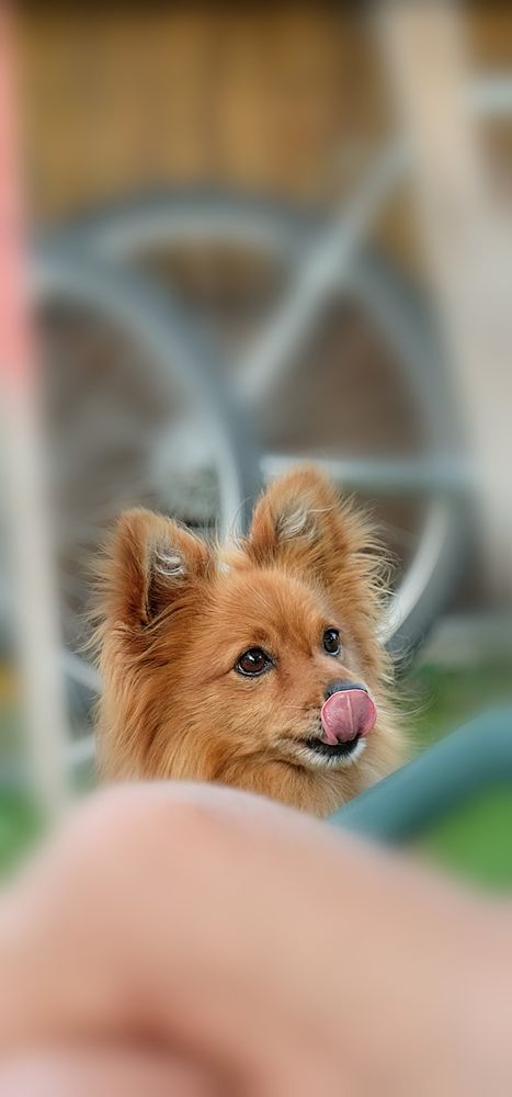 Photograph by Miroslav Šima