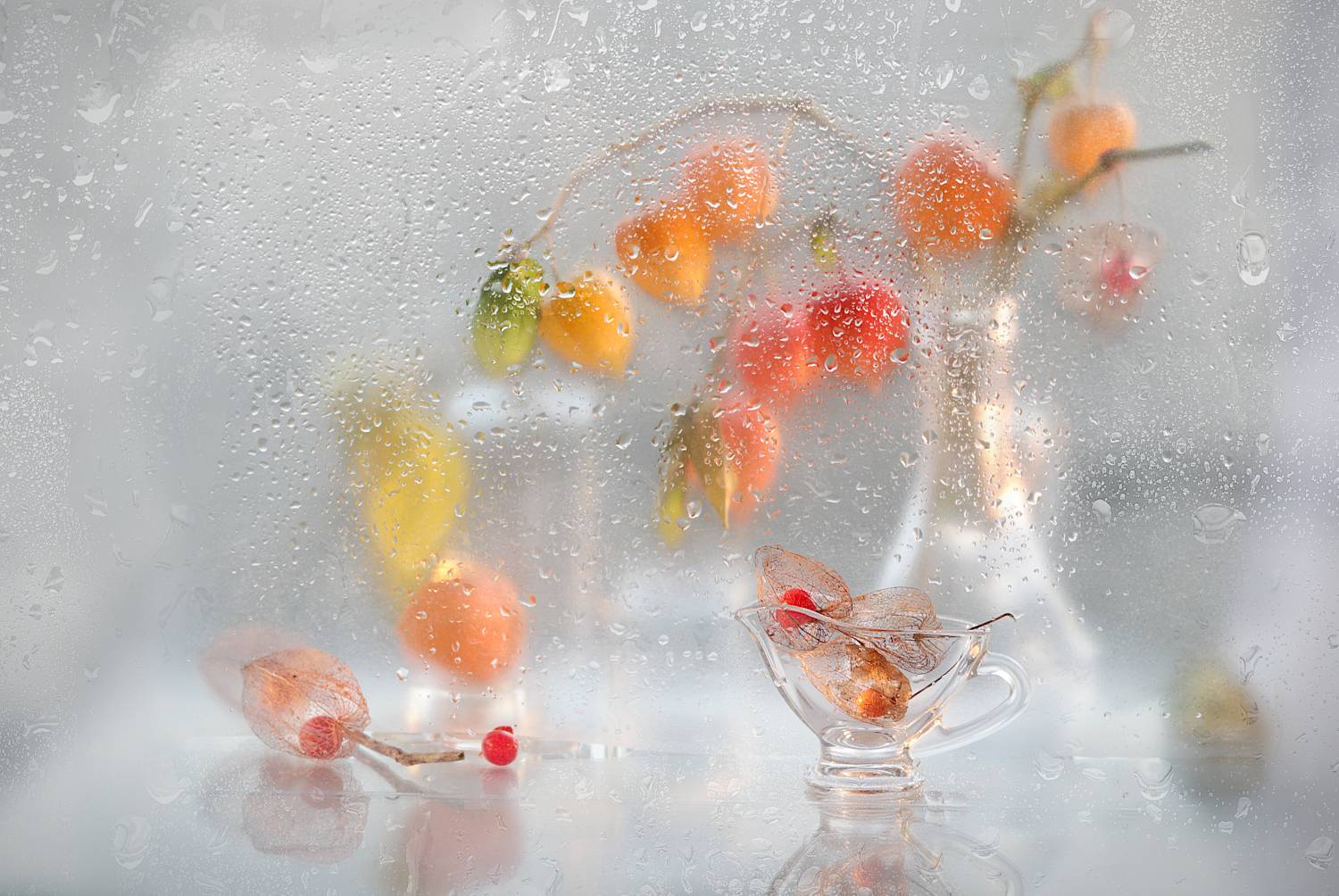 Яркие фонарики физалиса