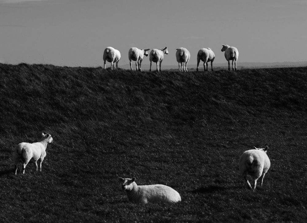 Photograph by Nicole Maria Wolff