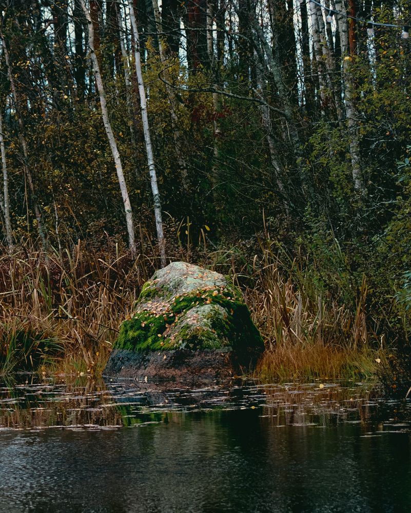 Photograph by Валентин Ефимов