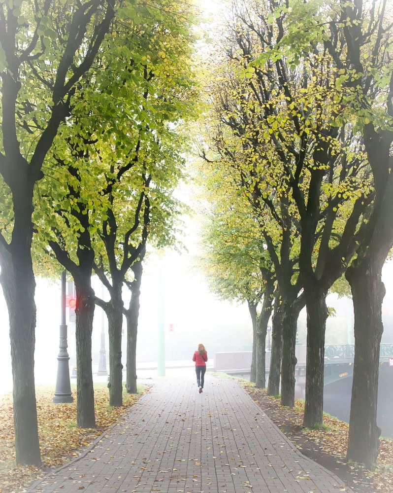 Photograph by Валерий Смирнов