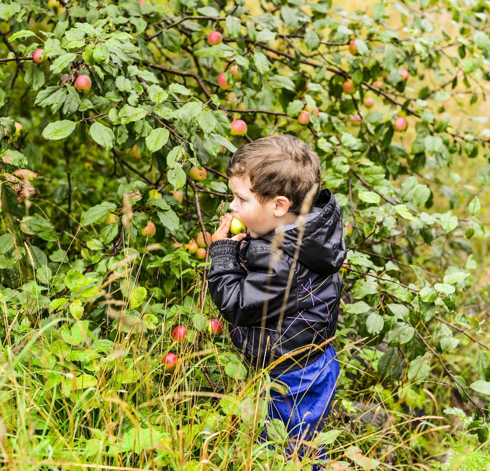 Photograph by Валерий Смирнов