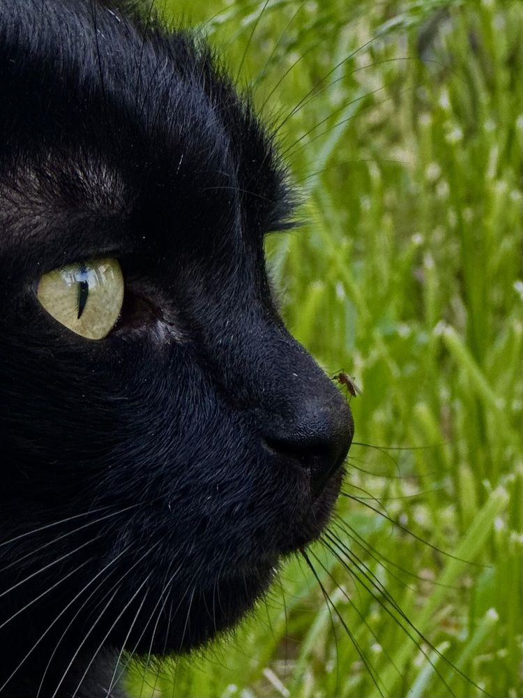 Photograph by Анастасия Конина