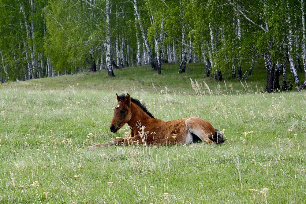 Photograph by Дмитрий Петренко