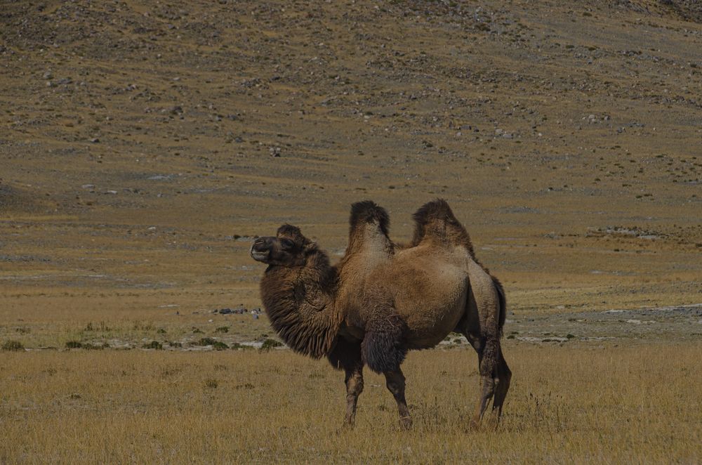 Photograph by Надежда Михайлина