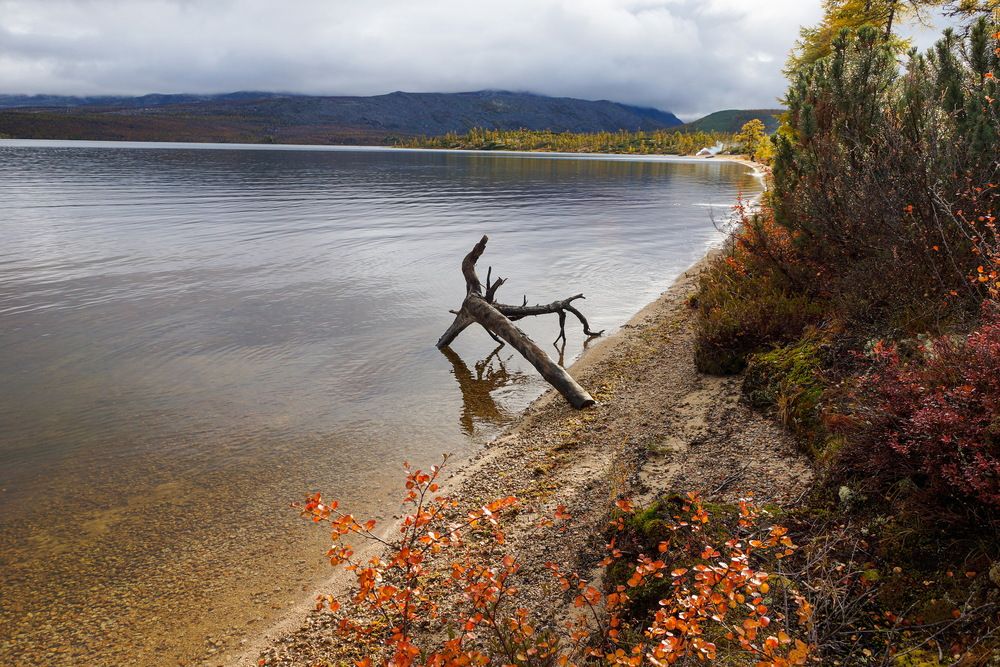 Photograph by Андрей Легостаев