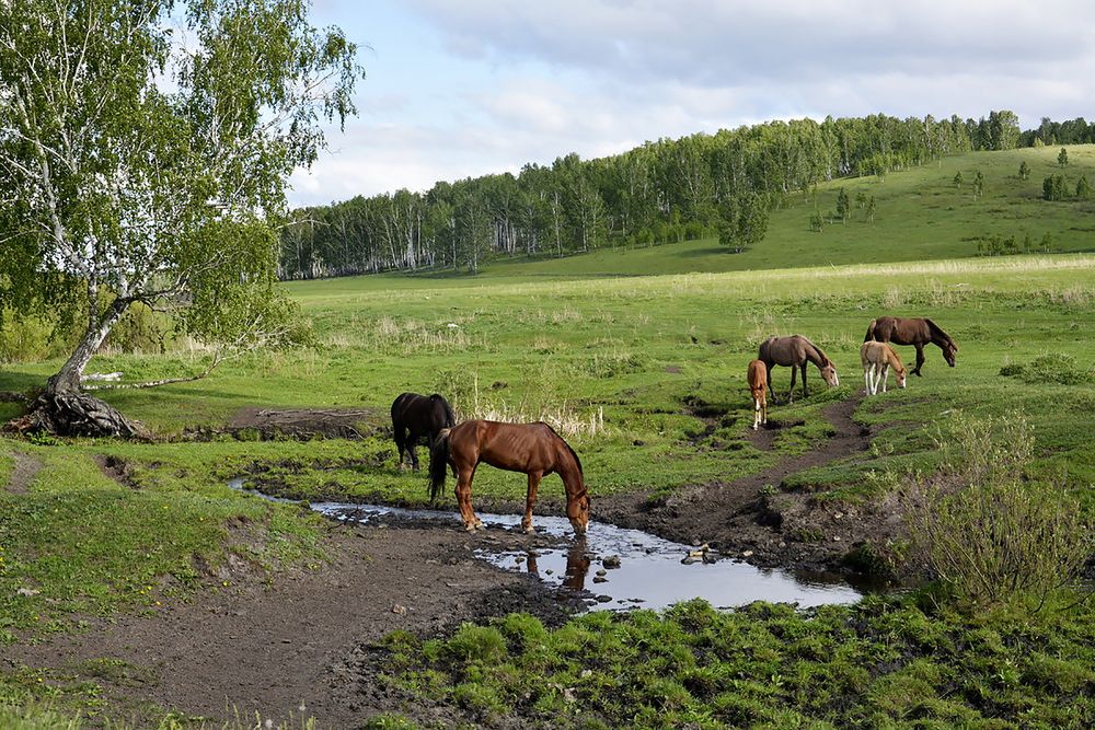 Photograph by Дмитрий Петренко