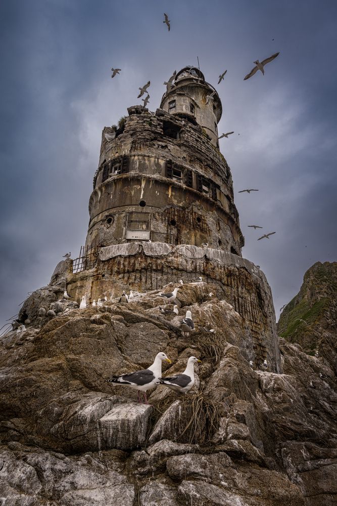 Фотография автора Татьяна Решетникова