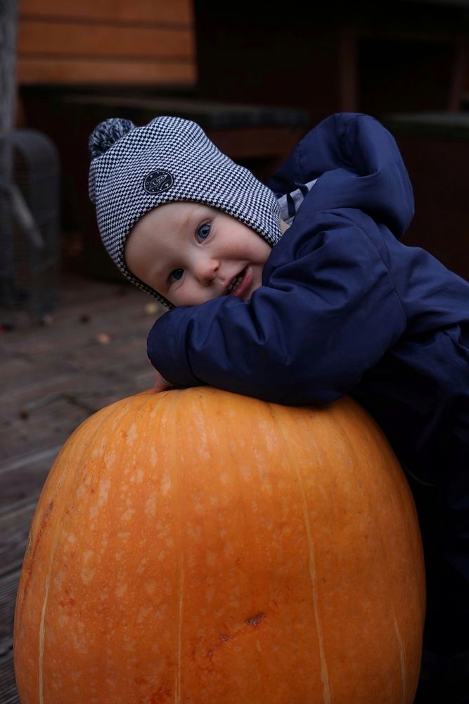 Сбор урожая