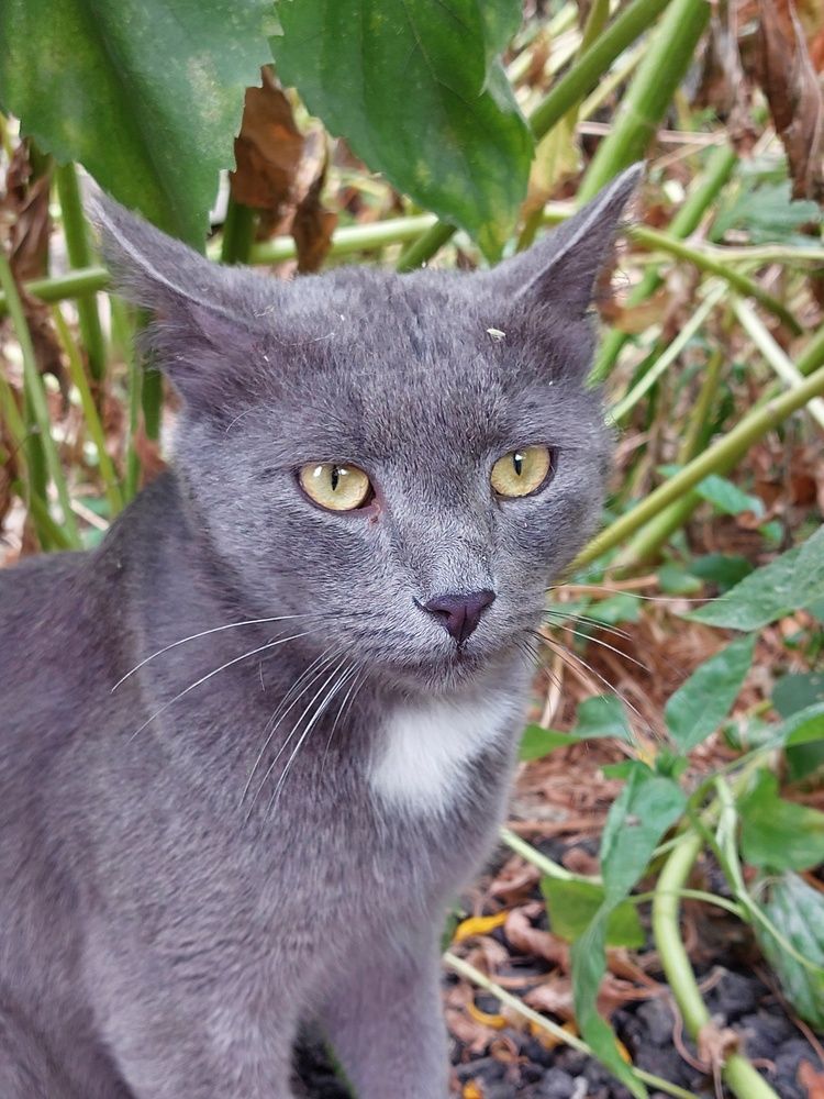 Photograph by Нина Паршина